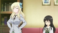 ty037