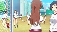 ty255