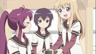 ty223