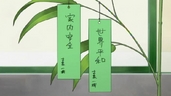 ty017