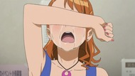 ty069