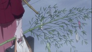 ty003