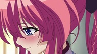 ty048