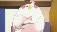 ty247