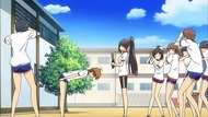 ty_017