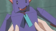 ty031
