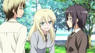ty241