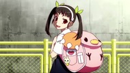 ty213