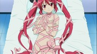 ty219