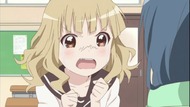 ty255