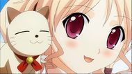 ty025