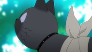 ty035
