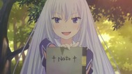 ty247