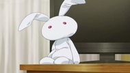 ty223