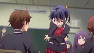 ty207