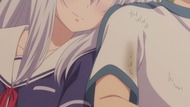 ty204