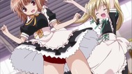 ty013