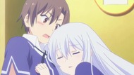 ty204
