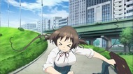 ty248