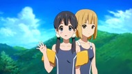 ty231