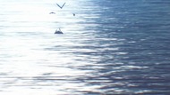ty013