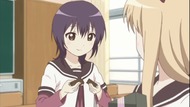 ty224