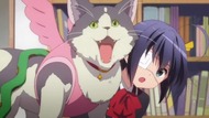 ty049