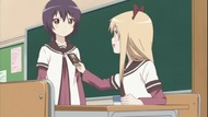 ty218