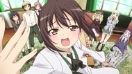 ty213
