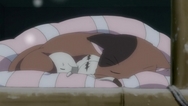 ty017