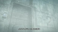 ty_007
