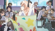 ty017