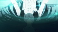 ty231