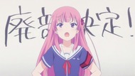ty237