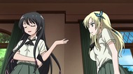 ty029