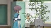 ty016