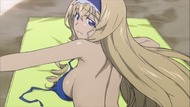 ty113