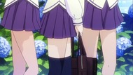 ty081