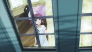 ty029