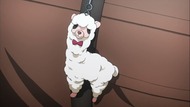 ty051
