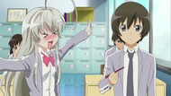 ty216