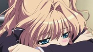 ty010