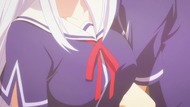 ty258