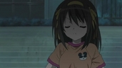 ty069