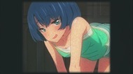 ty274
