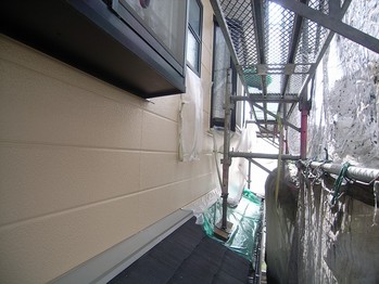 ����ű������ͻ�