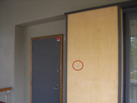 ���޶��Ĥν�