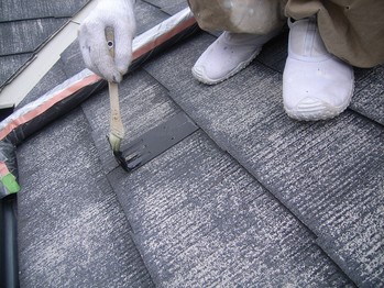 ���顼�٥��Ȳ�����ߤ��ʪ�β���