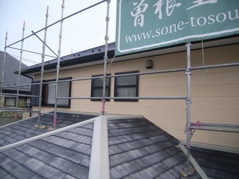 ������­�쥷����ű���