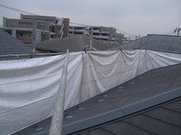 �������������ɱꥷ����